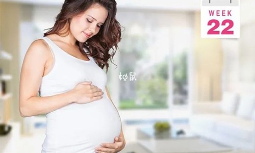 孕妇能吃蟹煲里的菜吗-蟹仔包孕妇可以吃吗网 - 为你提供蟹籽孕妇可以吃吗、孕妇能吃蟹粉小笼包吗