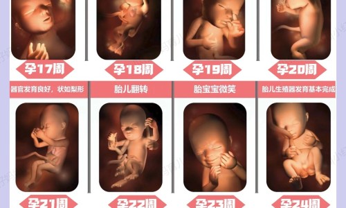 怀孕可以吃青桔子吗