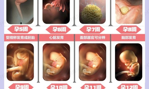 蟹仔包孕妇可以吃吗网 - 为你提供蟹籽孕妇可以吃吗、孕妇能吃蟹粉小笼包吗